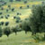 Guelma 