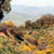 Guelma 